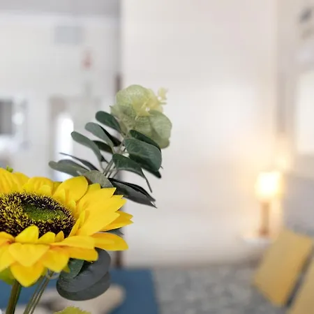 Vau Serenity Apartamento